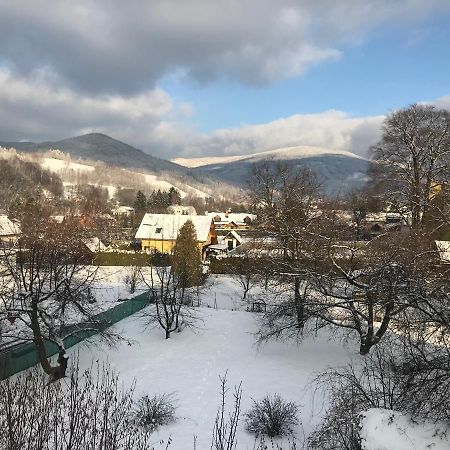 Mezonetovy Apartman Isabela Лоучна-над-Десноу Экстерьер фото